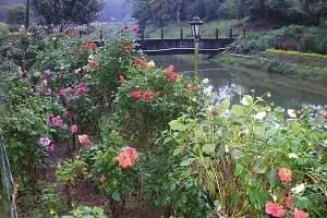 Hydel Park