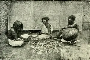 Pulluva Community