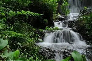 Chethalayam Waterfalls Wayanad