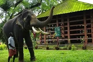 Kerala Eco Tourism