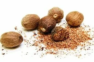 Kerala Nutmeg