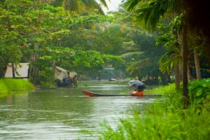 Why Visit Kerala During Monsoon? Top 5 Compelling Reasons