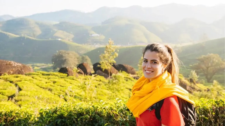 Munnar tea gardens on a budget trip