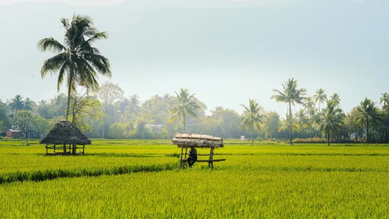 places to visit in Palakkad, Kerala