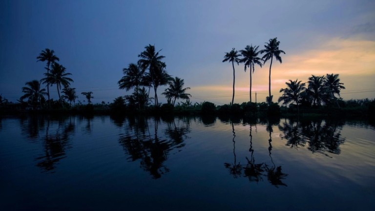 Kumbalangi Village backwaters showcasing traditional fishing culture and scenic waterways in Kerala