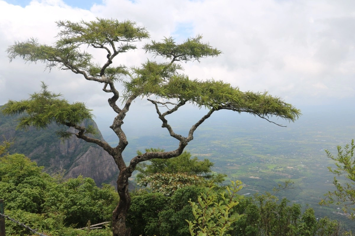 Nelliyampathy Hill Station viewpoint overlooking the lush valleys of the Western Ghats in Kerala