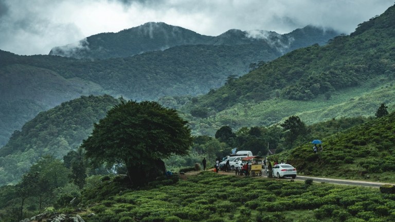 Misty forest road leading to Ponmudi Hill Station in the Western Ghats, Kerala