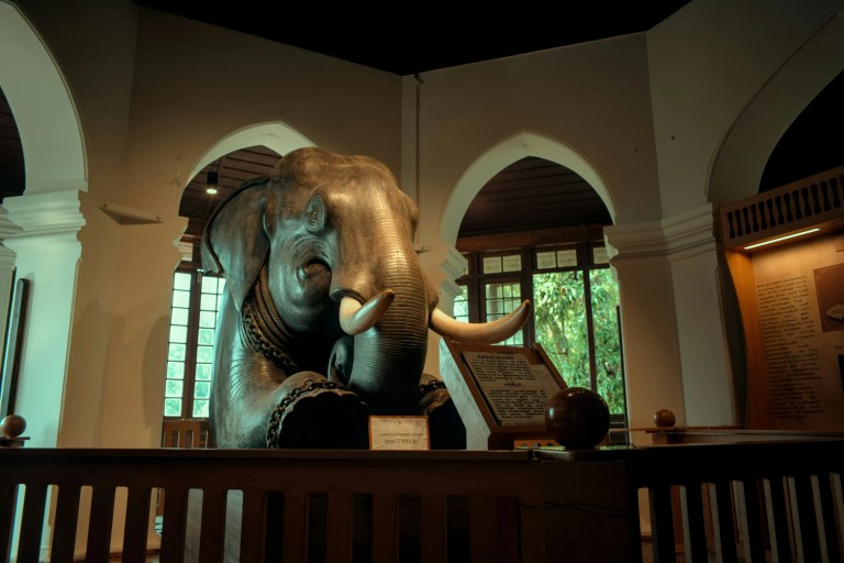 Mounted elephant exhibit displayed inside Hill Palace Museum in Tripunithura, Kochi