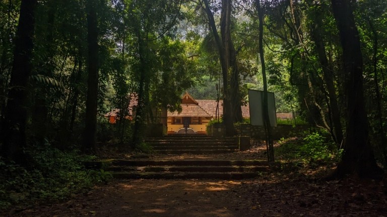 Iringole Kavu Sacred grove and temple surrounded by forest in Kerala