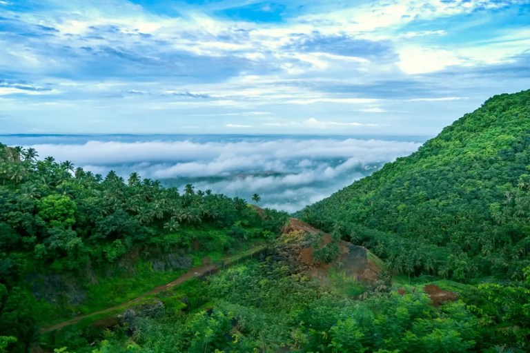 Arimbra Hills Mini Ooty in Malappuram