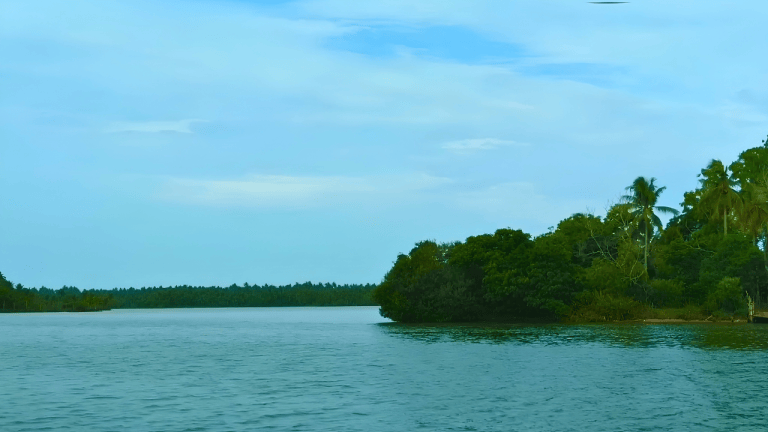 Ponnumthuruthu Island