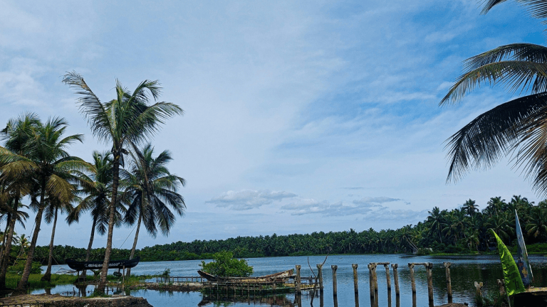 backwaters in Thrissur with coconut trees