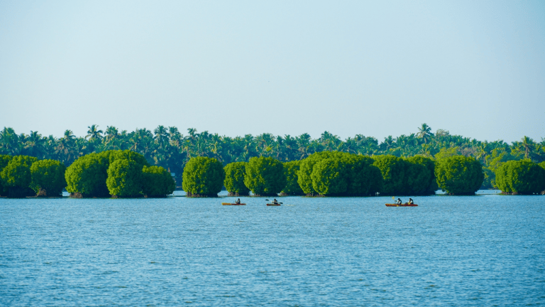 Kavvayi Backwaters