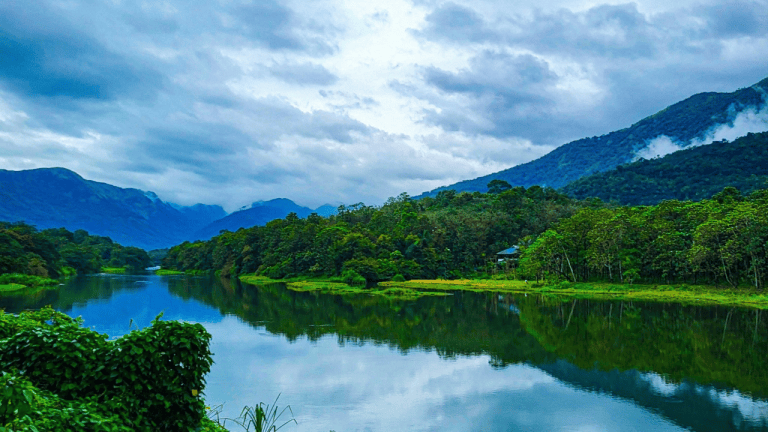 Malankara Dam and reservoir in Muttom, Idukki